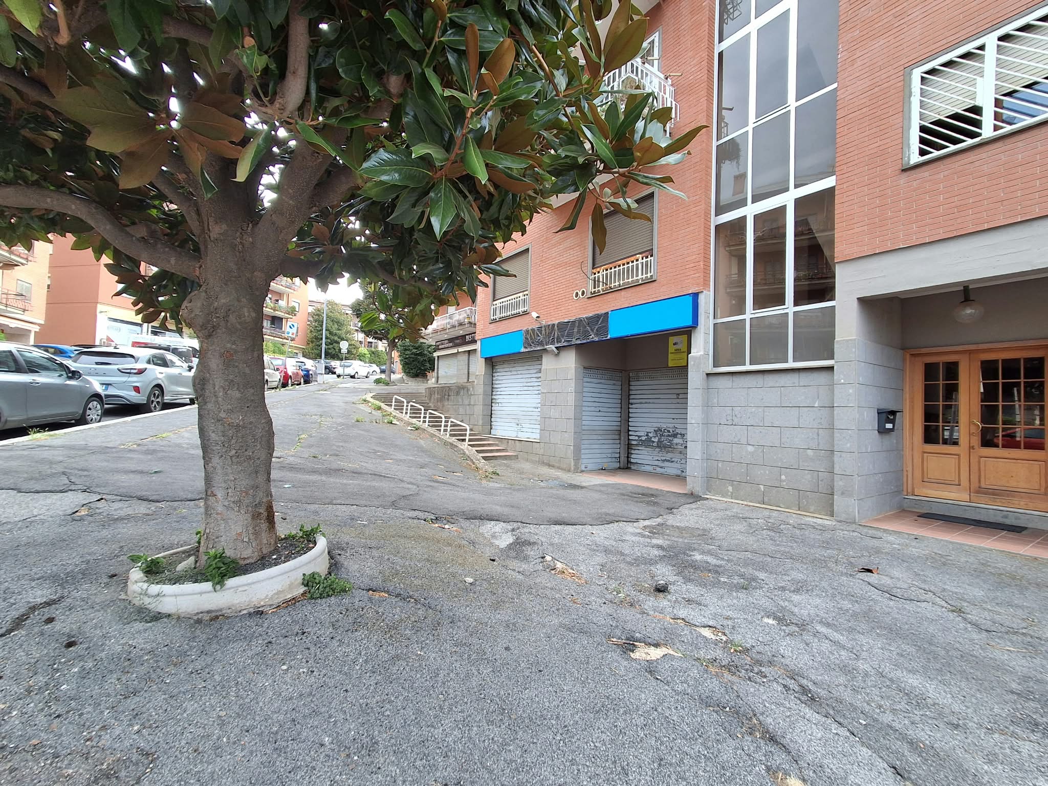 Image1